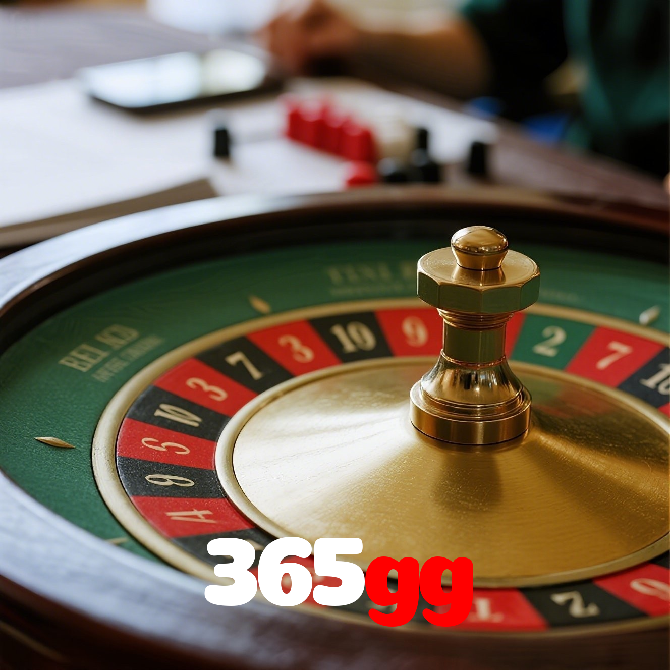 Segurança no 365gg